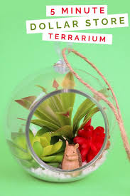 …place plastic saucers under potted plants to catch water run off. 5 Minute Dollar Store Succulent Terrarium Home Decor Videos Mad In Crafts