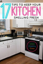 Although you can use commercial cleaners to in your sink, they may not help to eliminate the odors that reside. 17 Tips Tricks To Keep Your Kitchen Smelling Fresh What Mommy Does
