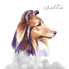 Sheltie Stock Illustrations 177 Sheltie Stock Illustrations Vectors Clipart Dreamstime Find gifs with the latest and newest hashtags! sheltie stock illustrations 177