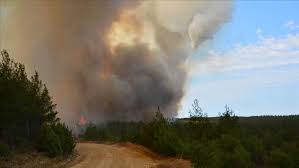 Le feu s'est propagé en détruisant sur son passage une trentaine d'hectares de végétation aidé par des vents soutenus. Turquie Incendie De Foret Dans La Peninsule De Gelibolu Dans L Ouest