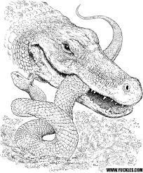 Not only are these coloring pages fun, they are educational too! Alligator Coloring Page By Yuckles Snake Coloring Pages Turtle Coloring Pages Zoo Animal Coloring Pages