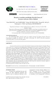 Image result for Secamone africana