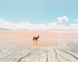 El tatio 1 anti ilah tani niat hati lain liat lihat latih lintah el tatio 2 nira aren iran nadi derai diare renda nadir raden indera el tatio 3 obat otak kota koma mbak atom batok botak ombak tombak el tatio 4 iman asin siap isap napi sapi amis impas manis simpan el tatio 5 era dan aren aneh reda renda heran raden denah rendah el tatio 6 gen ring ngeri genre negeri energi el tatio 7 akte kera eter arek kerat retak raket terka karet kereta el tatio 8 irak kami maki rima kira krim rekam merak m. Atacama Desert Chile Travel Story By Anna Doshina On Shoot It With Film 13 Shoot It With Film