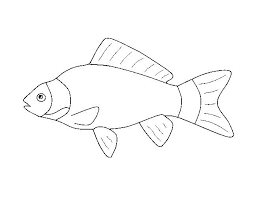 One of the methods to learn about the alphabet with kids is tracing kids. Fish Template 50 Free Printable Pdf Documents Download Free Premium Templates Fish Template Shape Templates Fish Shapes