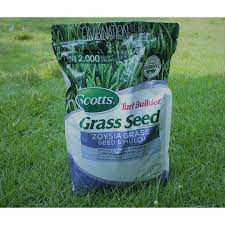 We did not find results for: Biji Rumput Zoysia Matrella 50g Benih Rumput Lapangan Sepak Bola Shopee Indonesia