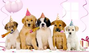 123cartes invitations et cartes anniversaire gratuites Carte Joyeux Anniversaire Avec Chien Nanaryuliaortega News