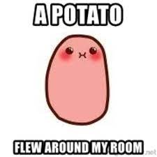 Save and share your meme collection! A Potato A Potato Flew Around My Room Know Your Meme