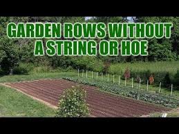 Organic gardening means you won't use synthetic fertilizers or pesticides, but that in order to get the best results with your new organic garden, you'll want to make sure the soil is properly conditioned. Garden Rows Without A String Or Hoe Youtube