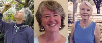 Lake County News,California