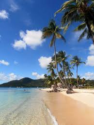 Epingle Sur Martinique