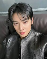 Cha Eun-woo official group