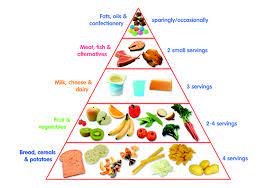 Our post outlines the recommendations for kids of all ages. Toddler Food Pyramid First 1000 Days