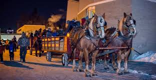 Bright lights and unique decorations light the way. 19 Free Things To Do In Edmonton This December Listed