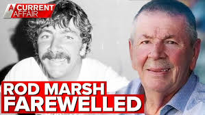 Mystery bat sparks international investigation