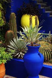 plants jardin majorelle jardin marocain decoration jardin