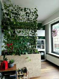 To use plants as room dividers. Made A Room Divider With My Plants Quartos De Plantas Apartamentos Pequenos Decoracao De Ambientes