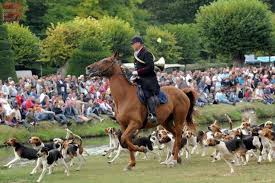 Learn more about the fête and its history. Saumurois La Fete De La Chasse Sur Un Nouveau Site Angers Maville Com