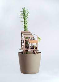 完成以樹為家的夢想 盆栽x 娃娃屋 小人國樹屋 common house plants miniature trees house plants