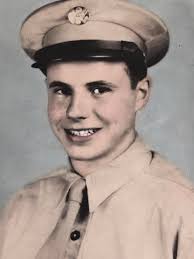 Alexander M. Patch Distinguished Service Cross, Silver Star. Purple Heart  OLC buried Epinal American Cemetery. I find it extremely disappointing  Alexander M. Patch A True American Hero has no page in Fields