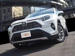 rav4 上側グリルガーニッシュ 鏡面仕上げ 2p 新型ラブ４ 50系 toyota mxaa54 axah54 g z package g hybrid g エアロ トヨタ 新型 鏡面仕上げ