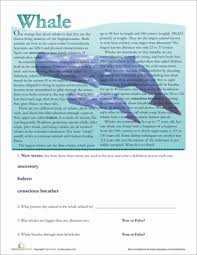 Whether you are teaching biology, hydrology, botany, or chemistry, or just studying the lives and work of famous scientists in general, each of the following sets of worksheets contains multiple individual reading passages for your students. Whale Facts Worksheet Education Com