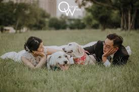 fantasia wedding dress vicky婉如 橘子白 寶寶 寵物寫真 寵物婚紗 林安泰古厝 婚紗攝影 自主婚紗 自助婚紗 高cp 優質推薦 wedding photos photo couple photos