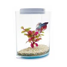 Marina Betta Kit Half Moon Aquarium Pour Poisson Combattant Betta Poisson Combattant Aquarium