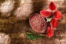 Exploring Herbs & Spices: Annatto