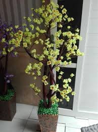 Maybe you would like to learn more about one of these? Detail Gambar Cantik Bunga Hias Sudut Ruangan Bunga Hias