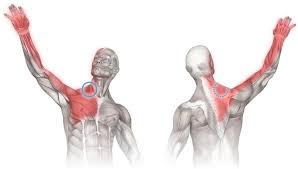 Resultado de imagen de Sindrome de primera costilla