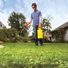 You want your lawn to look good, but you don't want to spend a lot of time mowing. How To Get Rid Of Weeds In Your Lawn Diy Family Handyman
