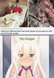 I Have Several Questions Meme Memes Funny Lol Anime Memes Funny Anime Funny Funny Memes