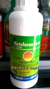 Rumput jepang merupakan salah satu jenis tanaman hias yang paling sering ditanam. Jual Herbisida Rumput Berdaun Lebar Pakis Dan Belukar Metafuron 20wp Di Lapak Sarana Agri Bukalapak