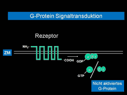 Its biosynthesis in the cervix involves conversion of arachidonic acid to prostaglandin h2 (pgh2) by. Prostaglandin E2 Altmeyers Enzyklopadie Fachbereich Allergologie