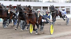 Welcome to elitloppet after a win in $23,200 dartster f:s race at solvalla on wednesday night (april 7). Rv Muitucfyx3m