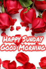 We did not find results for: Top 10 Best Happy Sunday Good Morning Images Quotes For You