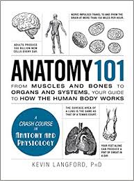 Where known, the innervations of the muscles are reported. Download Anatomy 101 From Muscles And Bones To Organs And Systems Your Guide To How The Human Body Pdf Free Cme Cde