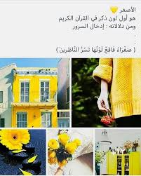 Pin By عبدالرحمن On صور Beautiful Arabic Words Arabic Quotes Quotes For Book Lovers
