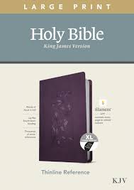 Pastor bisi adewale if the foundations be destroyed, what can the righteous do? Tyndale Kjv Large Print Thinline Reference Bible Filament Enabled Edition