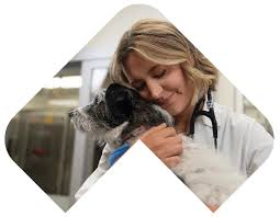 Image result for Metaldehyde Poisoning