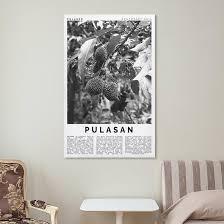 Amazon.com: Black And White Kitchen Art Pulasan Poster Print Fruit Kitchen  Art Kitchen Poster Wall Art Chef Gift Poster Picture Print Canvas Wall Art  for Home Living Room Wall Decoration 20x30inch(50x75cm): Posters