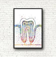 Dentist Gift Tooth Art Medical Art Clinical Decoration Dental Practice Gum Tooth Schema Tooth Watercolor Human Body 325 Medical Art Teeth Art Gifts For Dentist
