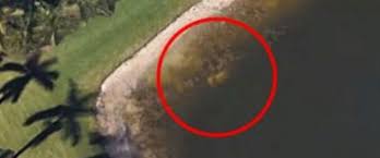Google earth is a freeware available for various platforms. Google Earth Search Leads To Gruesome Ending To Decades Old Missing Person S Case Abc News