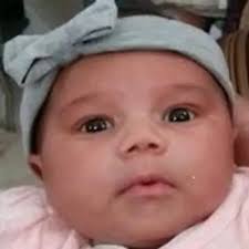 Obituary information for Cali Dream Fred