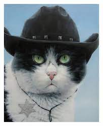 With tenor, maker of gif keyboard, add popular cat wearing cowboy hat animated gifs to your conversations. Image Result For Cats In Cowboy Hats Cute Cats Crazy Cats Cute Animals