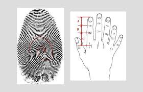 We did not find results for: Golden Ratio Bridge Between Logic And Creativity Royalens