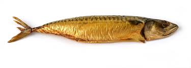 Smoked Atlantic Mackerel Maquereau Fume Gerookte Vis Vitamine D Vitamine