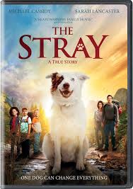 Most movies that get nominated for a ton of awards are rated r, but this is one you can watch with your older children that's only rated pg. 20 Movies To Watch With Your Family This Season Lds Living