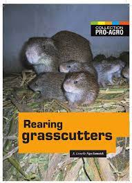 Pdf Rearing Grasscutters