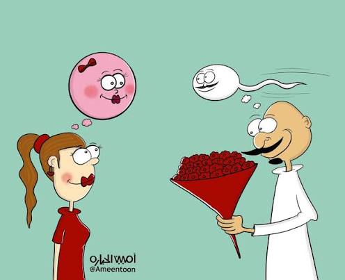 ما الذي نحبه حين نقع في الحب؟